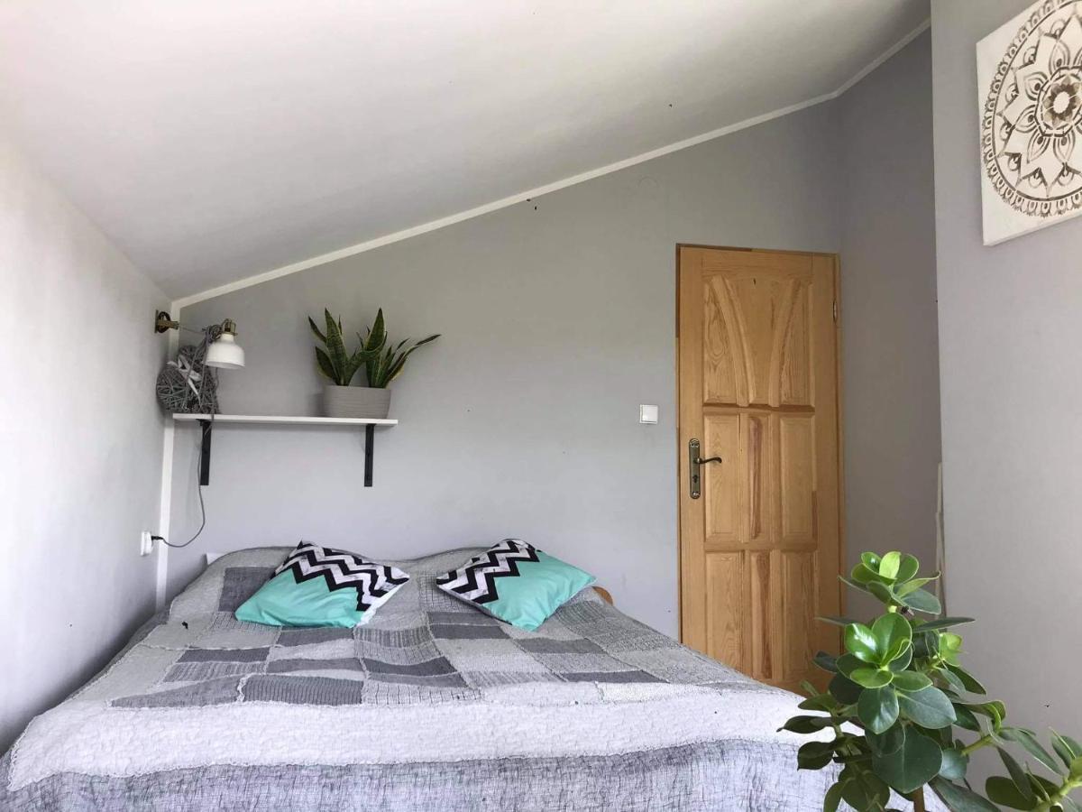Koliba Nad Bialka Czarna Gora B&B 외부 사진