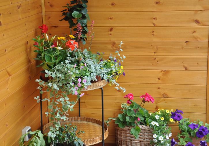 Koliba Nad Bialka Czarna Gora B&B 외부 사진